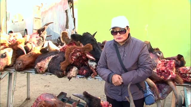 S03:E06 - Mongolia