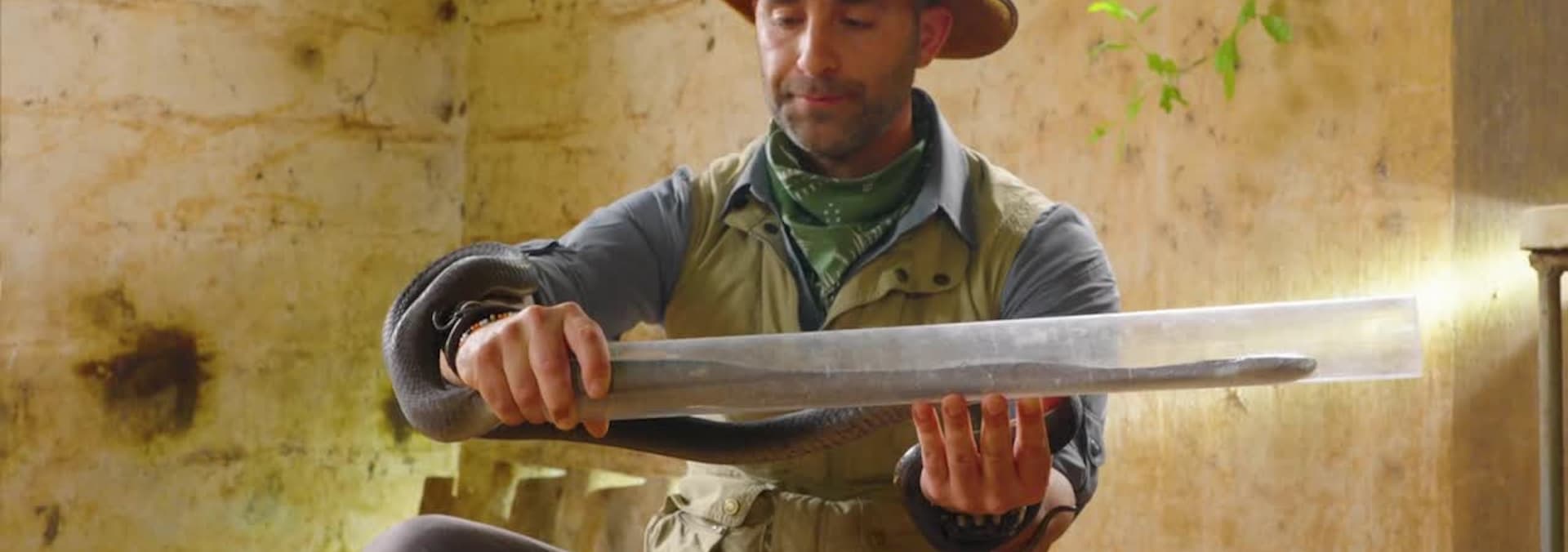 Watch Brave Wilderness S09:E06 - Black Mamba: World's Deadliest Snake ...