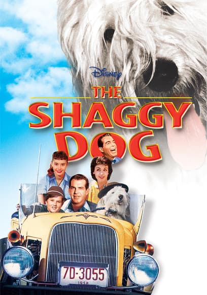 The Shaggy Dog