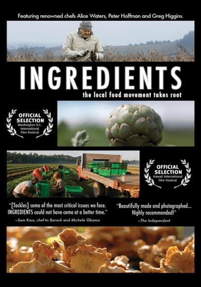 Ingredients