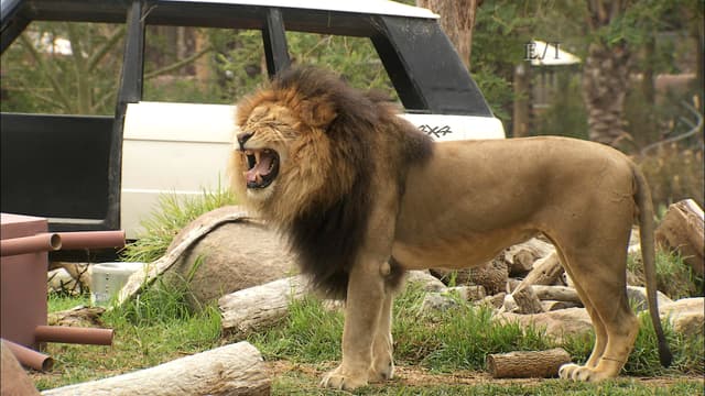 S01:E10 - Episodio 10