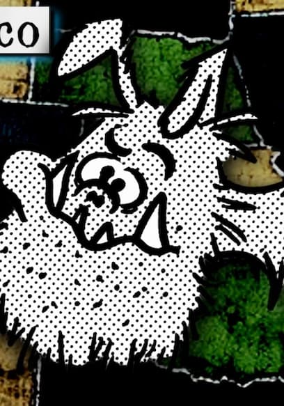 S01:E09 - A Map of Obscure Cryptids poster