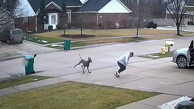 S01:E10 - Home Sweet Home or Battlezone?