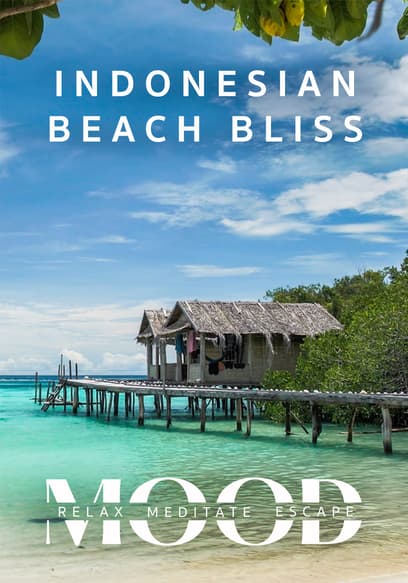 Indonesian Beach Bliss: Mood