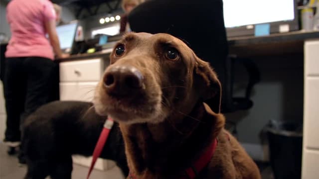 S05:E01 - Close to Home