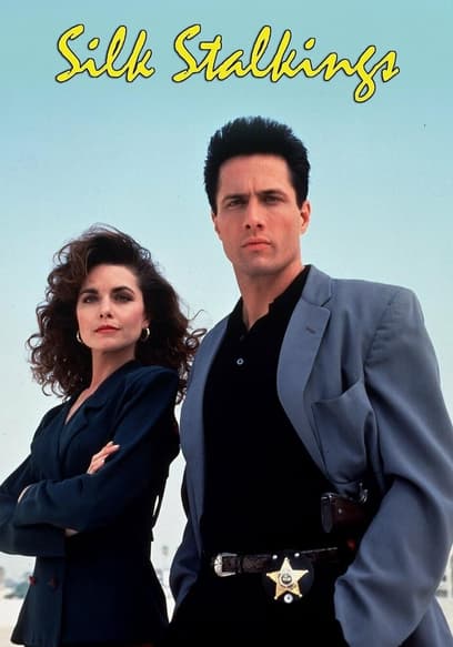 S03:E02 - The Perfect Alibi