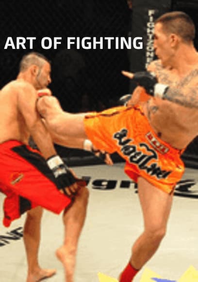 Art of Fighting