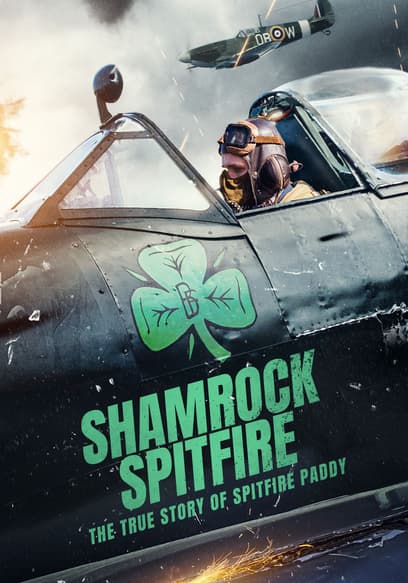 Shamrock Spitfire