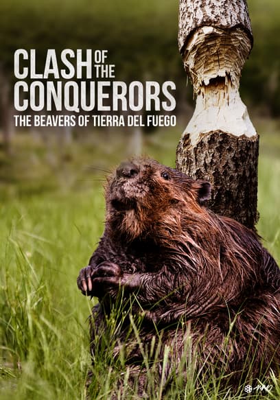 Clash of the Conquerors