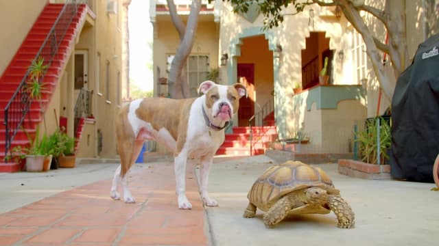 S01:E07 - Small Yet Mighty