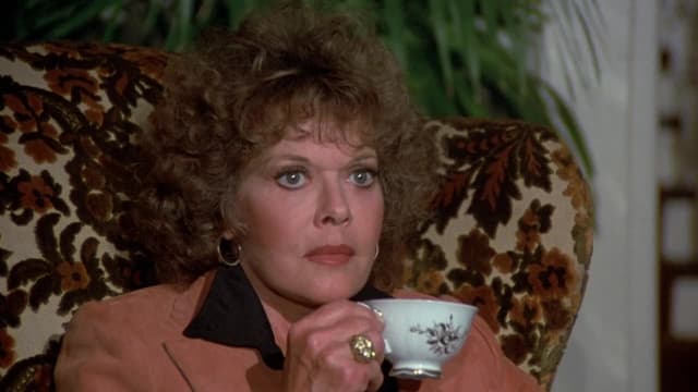 S02:E04 - The Beachcomber / The Last Whodunnit