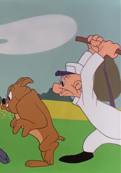S09:E03 - Racketeer Rabbit / Daffy Doodles / Fair and Wormer poster