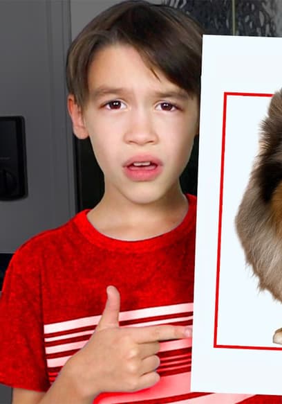 S01:E11 - My Puppy Is Secretly Missing From My House! poster