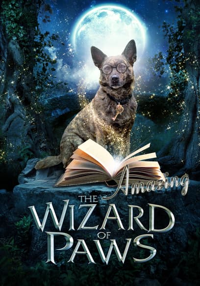 The Amazing Wizard of Paws