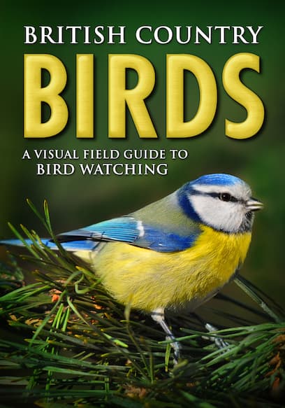 British Country Birds: A Visual Field Guide to Bird Watching