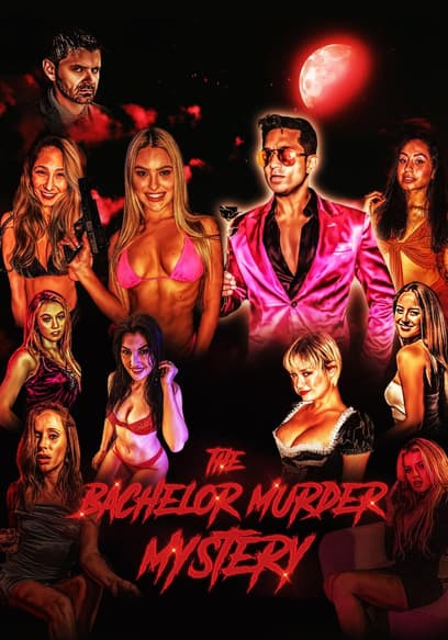 The Bachelor Murder Mystery poster