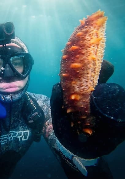 Affiche de S01:E06 - Eating Wild Sea Creatures