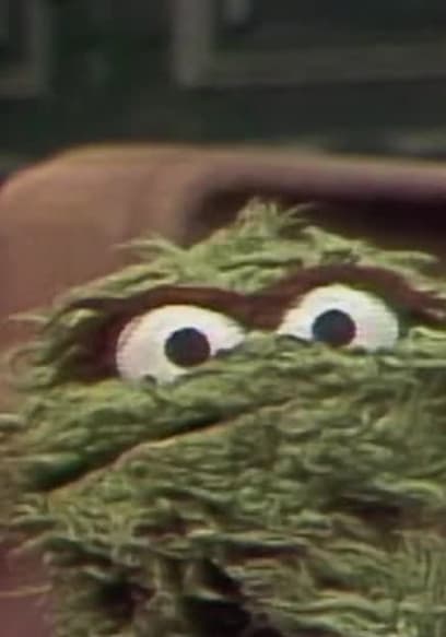S11:E49 - R2-D2 and C-3PO Visit Sesame Street poster