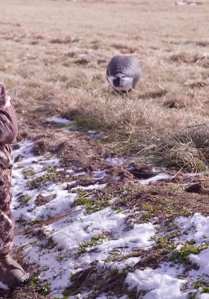 S01:E06 - Montana Goose Hunting with Ryan Callaghan & Miles Nolte poster