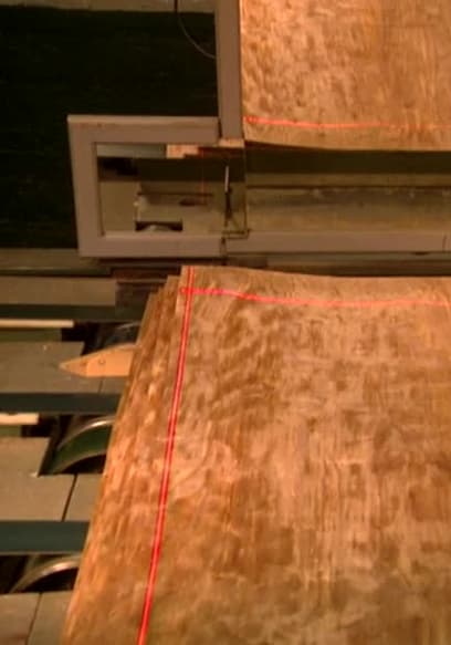 Póster de S01:E19 - Wood Doors and Paintballs
