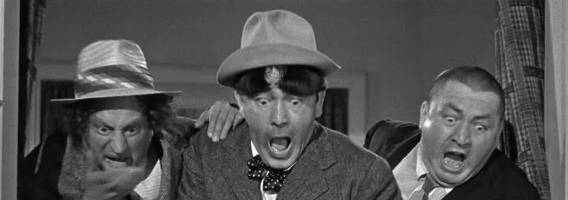 Watch The Three Stooges+ Comedy Gold Standard S02:E19 - What's the ...