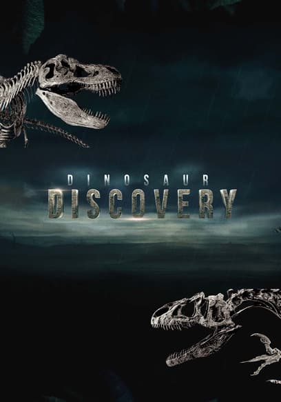 Dinosaur Discovery