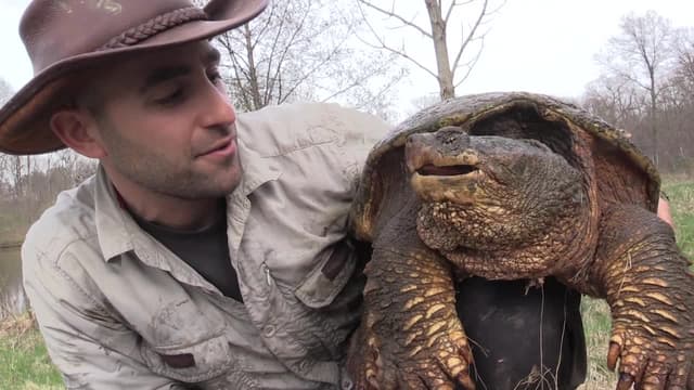 S03:E11 - Snapping Turtles