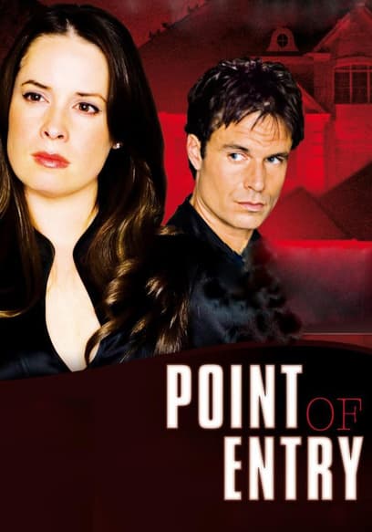 Point of Entry (Español) poster