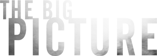 The Big Picture