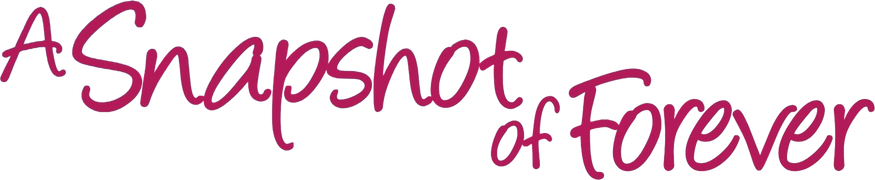A Snapshot of Forever