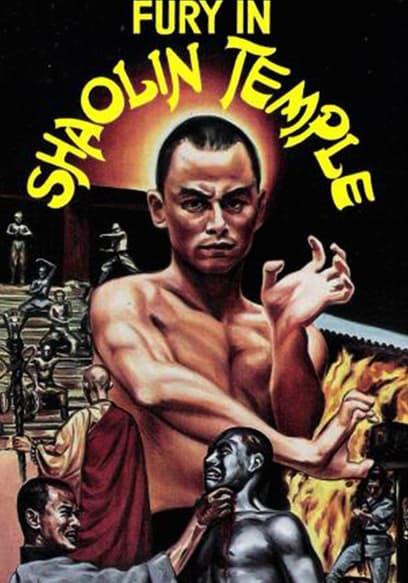 Fury in Shaolin Temple