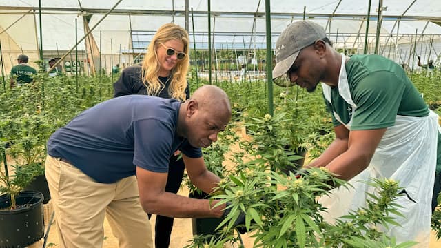 S01:E04 - Goldeneye - Jamaica