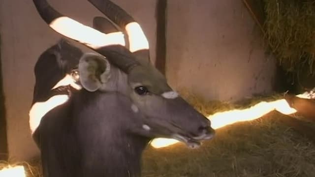 S01:E10 - Episode 10