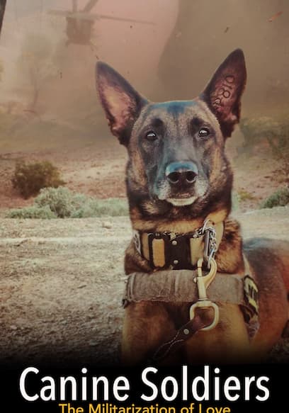 Canine Soldiers: The Militarization of Love