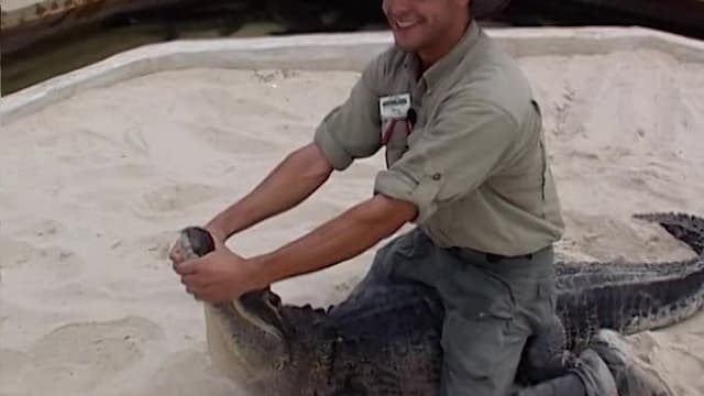 S01:E02 - Facing Predators