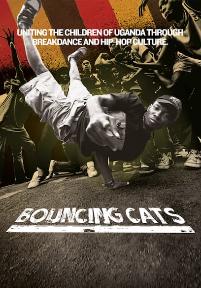 Bouncing Cats