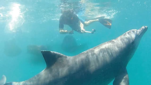 S01:E06 - Mozambique