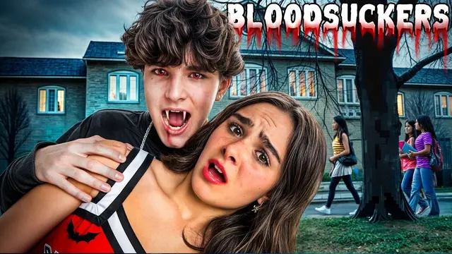 S01:E01 - What Happened in the Woods