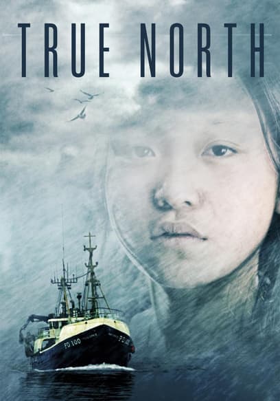 True North poster
