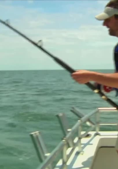 S01:E01 - Sharks, Shrimp and Sunshine poster