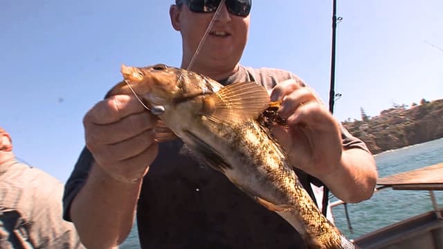 S01:E14 - World Champion Pro Skater Meets Marine Biologists in La Jolla Cove