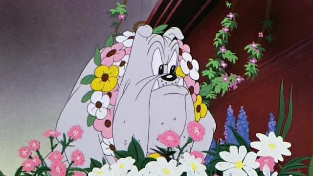 S10:E09 - Ding Dog Daddy / Gopher Goofy / Double Chaser