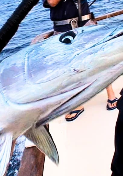 S01:E20 - Fishing Frenzy at Alijos Rocks, Part 3: The Gear poster