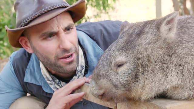 S05:E04 - Don't Wake the Wombat