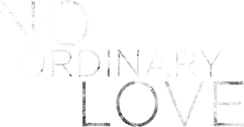 No Ordinary Love