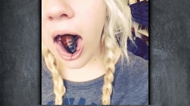 S01:E08 - The Dogfather