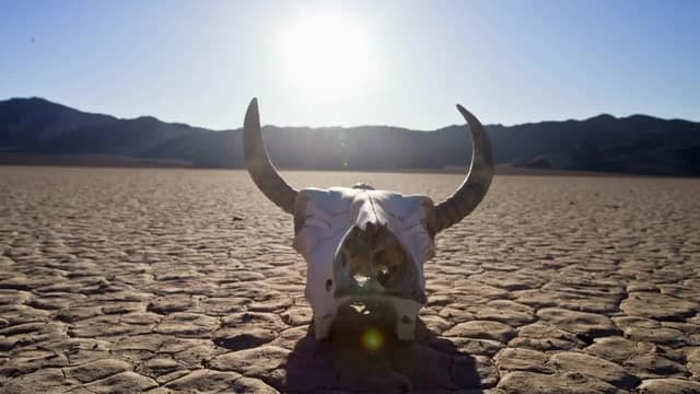 S02:E05 - Desertification
