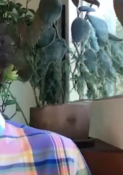 S02:E07 - Eric Andre Talks About One of His Worst Trips & the Noisey Questionnaire of Life With Big Zuu & QoL Foushee poster