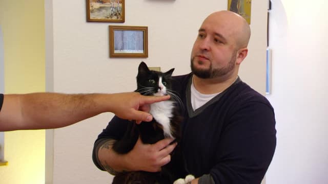 S08:E07 - The Purr-Fect Tank