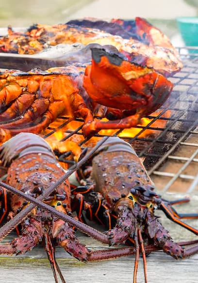 Affiche de S01:E02 - The Best Lobster Catch and Cook